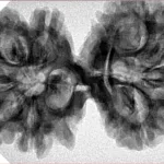 9 MK Gaurishankar 37.9mm 7.17gm - Inverse xray