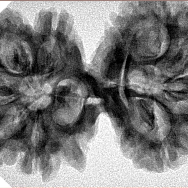 9 MK Gaurishankar 37.9mm 7.17gm - Inverse xray