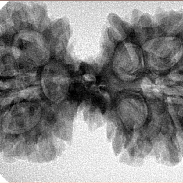 10 Mk Gaurishankar 37.8mm 6.71gm - Inverse xray
