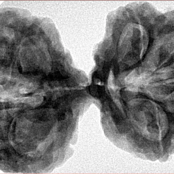 9 MK Gaurishankar 42.2mm 10gm - Inverse xray