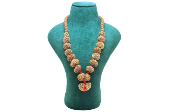 1 to 14 Mukhi Rudraksha Mala ( Siddha Mala ) with Sawar - Mala Image