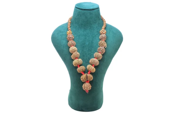 1 to 14 Mukhi Rudraksha Mala ( Siddha Mala ) - Certificate: DCL/2026/B/0254 - Mala Image