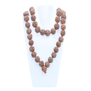7 Mukhi Nepali Kantha ( 21mm ) - Mala Image