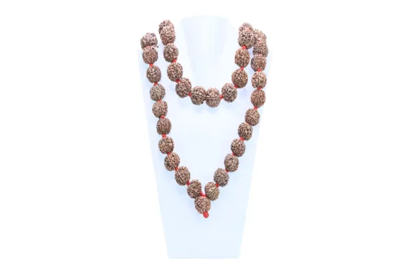 7 Mukhi Nepali Kantha ( 21mm ) - Mala Image