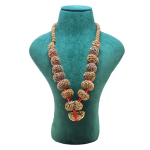 1 to 14 Mukhi Rudraksha Mala ( Siddha Mala ) - Certificate: DCL/2026/B/0258 - Mala Image