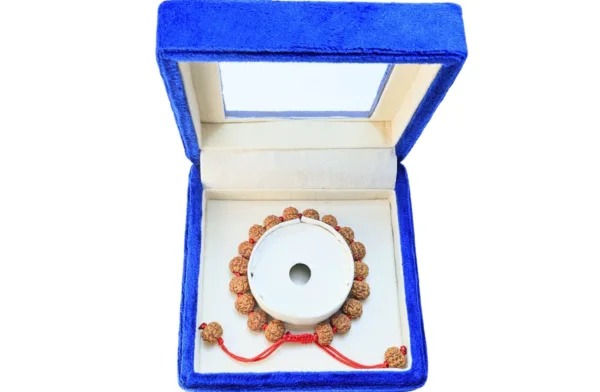 5 Mukhi Indonesian Bracelet - Mala Image