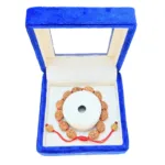 4 Mukhi Indonesian Bracelet - Mala Image