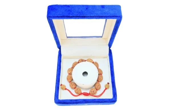 4 Mukhi Indonesian Bracelet - Mala Image