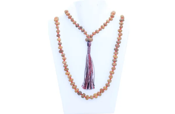 13 Mukhi Indonesian Mala - Mala Image