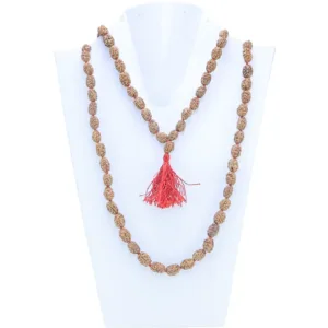 2 Mukhi Indonesian Mala (Jaap) - Mala Image