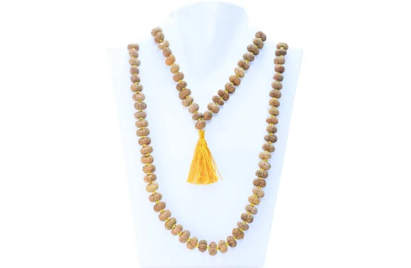 14 Mukhi Indonesian Mala - Certificate: DCL/2026/B/0264 - Mala Image