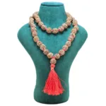 3 Mukhi Nepali Kantha (14 - 17mm) - Mala Image