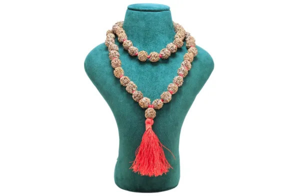 3 Mukhi Nepali Kantha (14 - 17mm) - Mala Image