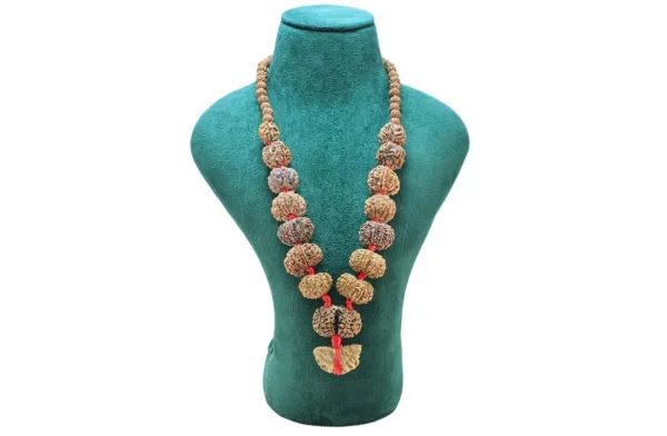 1 to 14 Mukhi Rudraksha Mala ( Siddha Mala ) - 30.3858mm - Mala Image