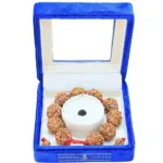 4 Mukhi Nepali Bracelet - Mala Image