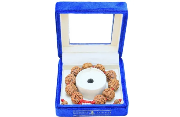 4 Mukhi Nepali Bracelet - Mala Image