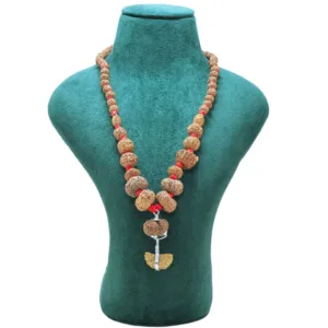 1 to 14 Mukhi Rudraksha Mala ( Siddha Mala ) - Certificate: DCL/2026/B/0178 - Mala Image