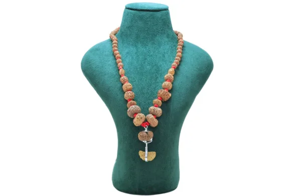 1 to 14 Mukhi Rudraksha Mala ( Siddha Mala ) - Certificate: DCL/2026/B/0178 - Mala Image