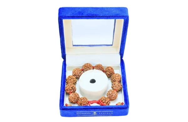 5 Mukhi Nepali Bracelet - Mala Image