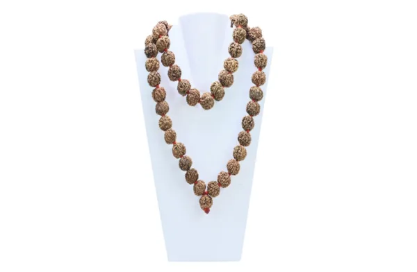 7 Mukhi Nepali Kantha ( 16-18mm ) - Mala Image