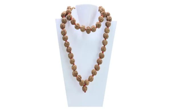 7 Mukhi Nepali Kantha ( 14-16mm ) - Mala Image