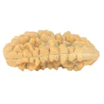 1 Mukhi Rudraksha 34.7mm 4.62gm - Rudraksha back