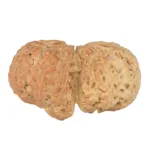 11 MK Gaurishankar 41.6mm 9.27gm - Rudraksha back