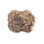 2 Mukhi Rudraksha 22.5mm 1.76gm - Rudraksha back