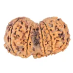 10 Mk Gaurishankar 40.1mm 9.31gm - Rudraksha back