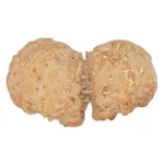 9 MK Gaurishankar 42.2mm 10gm - Rudraksha back