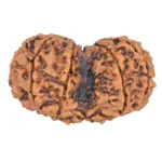 10 Mk Gaurishankar 36.1mm 6.25gm - Rudraksha back