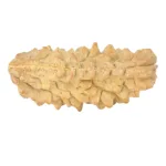 1 Mukhi Rudraksha 38.5mm 5.88gm - Rudraksha back