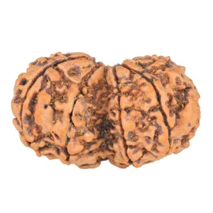9 MK Gaurishankar 37.9mm 7.67gm - Rudraksha back