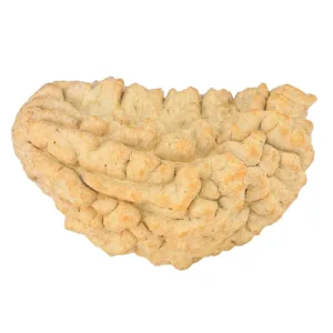 1 Mukhi Rudraksha 34.6mm 5.92gm - Rudraksha