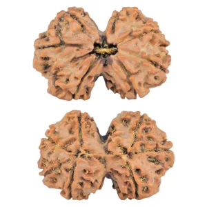 7 MK Gaurishankar 30.3mm 5.11gm - Rudraksha