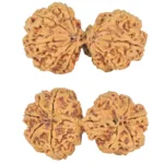 10 Mk Gaurishankar 42.4mm 8.24gm - Rudraksha
