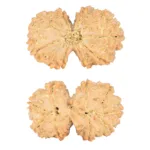 9 MK Gaurishankar 34.6mm 7.17gm - Rudraksha