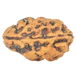 1 Mukhi Rudraksha 16.2mm 0.64gm - Rudraksha