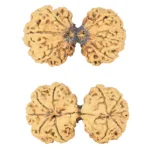 10 Mk Gaurishankar 40.2mm 6.87gm - Rudraksha
