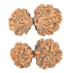 11 MK Gaurishankar 41.9mm 8.05gm - Rudraksha