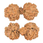 10 Mukhi Mini Trijuti 38.7mm 6.25gm - Rudraksha
