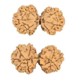 9 MK Gaurishankar 40.4mm 7.66gm - Rudraksha