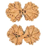 10 Mk Gaurishankar 40.2mm 7.63gm - Rudraksha