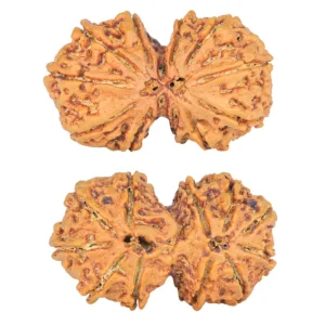 11 MK Gaurishankar 40mm 9.39gm - Rudraksha