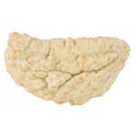 1 Mukhi Rudraksha 38.9mm 6.07gm - Rudraksha