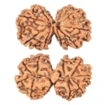 9 MK Gaurishankar 37.9mm 7.67gm - Rudraksha