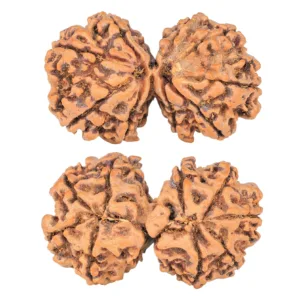 9 MK Gaurishankar 37.9mm 7.67gm - Rudraksha