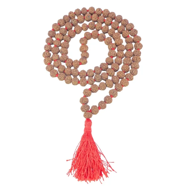 6 Mukhi Indonesian Mala (Wear) - Rudraksha Zoom Image