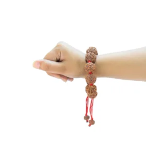 6 Mukhi Nepali Bracelet - Rudraksha Zoom Image