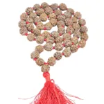 3 Mukhi Nepali Kantha (14 - 17mm) - Rudraksha Zoom Image